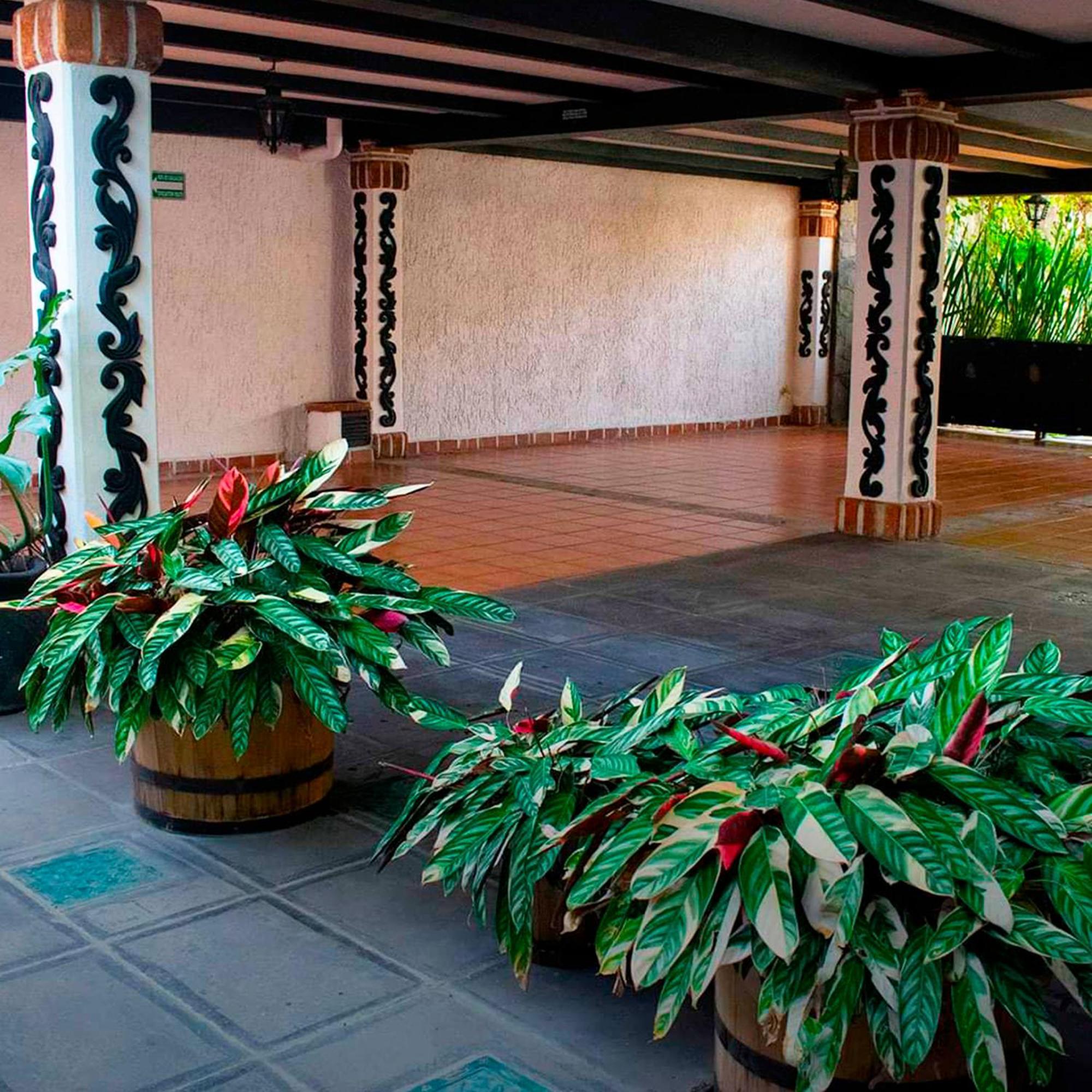 Hotel Boutique La Mansion Гвадалахара Экстерьер фото